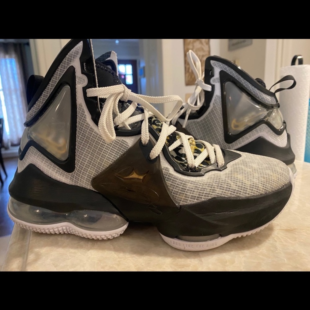 Lebron 19 leopard GS basketball shoes